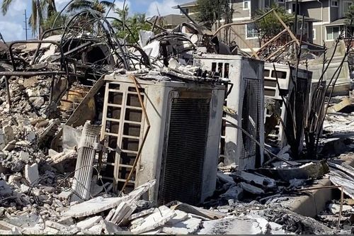 Đã xác định được nguyên nhân gây cháy rừng thảm khốc ở Hawaii