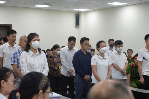 Các bị cáo trong vụ 'thổi giá' cây xanh gây thiệt hại hàng chục tỉ đồng lĩnh án