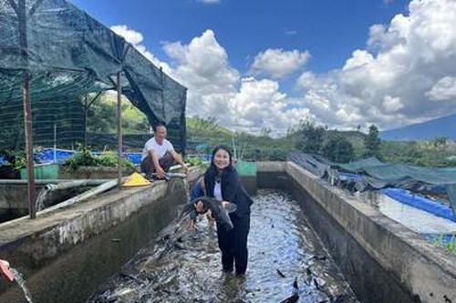 Nguyễn Phương Bắc: Nữ tỷ phú vùng sâu Lâm Đồng và danh hiệu 'Nông dân Việt Nam xuất sắc năm 2023'