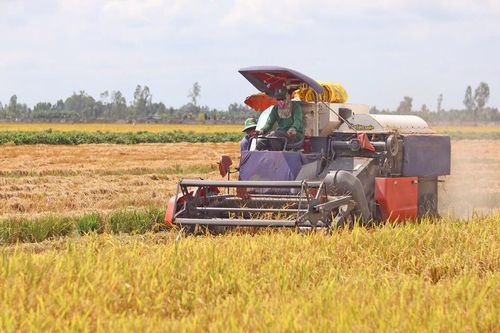 Tạo hấp lực đầu tư vào 'vựa lúa' miền Tây