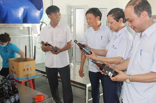 Người 'lên hương' nước mắm Ba Làng