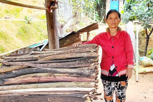 Tặng củi cho gia đình có công