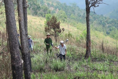 Khởi tố cựu Trưởng phòng TN-MT huyện Bảo Lâm (Lâm Đồng)