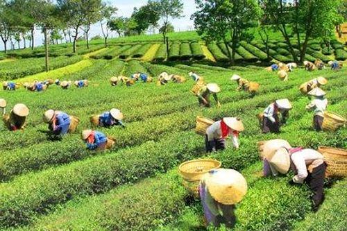 Kết nối nhưng không bị xé vụn