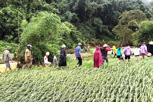 Đi qua cầu tràn, thiếu nữ bị lũ cuốn tử vong