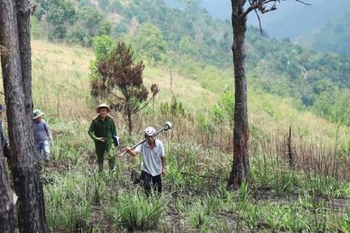 Khởi tố hai cán bộ 'dính' sai phạm giao đất rừng ở Lâm Đồng