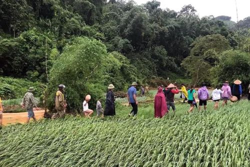Tuyên Quang: Thiếu nữ bị lũ cuốn trôi khi qua cầu tràn lúc nửa đêm