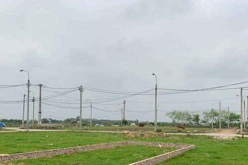 Bộ Tư pháp 'tuýt còi' quy định về đấu giá đất nông nghiệp của Hà Nội