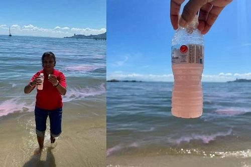 Nước biển tại Malaysia bất ngờ chuyển hồng