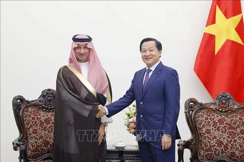 Việt Nam coi trọng tăng cường quan hệ hữu nghị và hợp tác nhiều mặt với Saudi Arabia