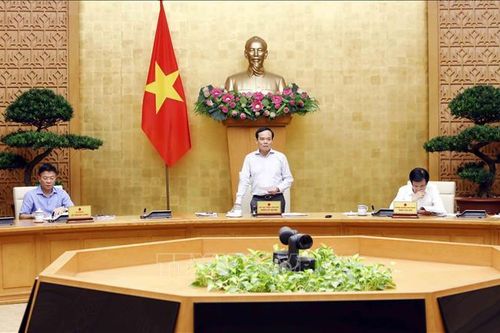 Rà soát hệ thống văn bản quy phạm pháp luật tập trung vào vấn đề lớn, còn đang vướng mắc