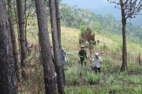 Lâm Đồng: Khởi tố nguyên Trưởng phòng Tài nguyên Môi trường