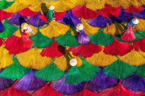 Đa sắc làng chiếu cói Tuy An