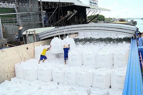 Giá gạo xuất khẩu thế giới vọt tăng sau động thái áp thuế gạo đồ của Ấn Độ