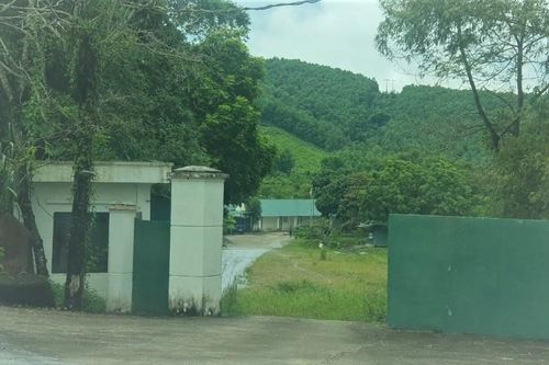 Quảng Ninh: Sớm tìm giải pháp thích hợp để thông đường xuất nhập khẩu tại điểm Đại Vai