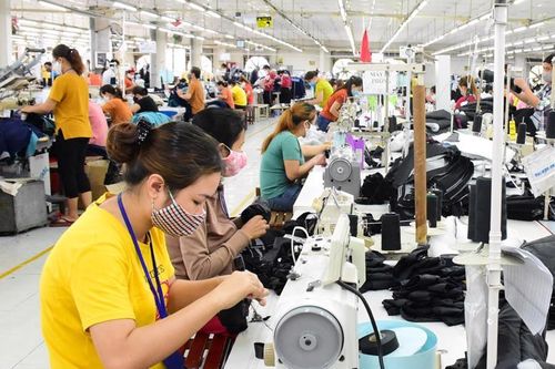 Nobland Việt Nam tạm ngưng phương án cắt giảm hơn 600 lao động