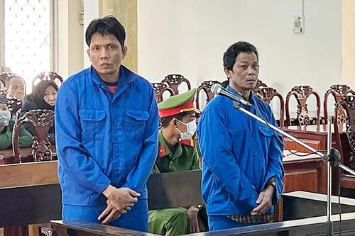 Giúp cha vợ, con rể cùng mang tội