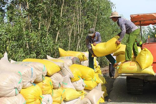 Lê Chánh tập trung xây dựng Đảng