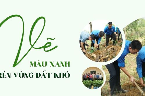 'Vẽ' màu xanh trên vùng đất khó