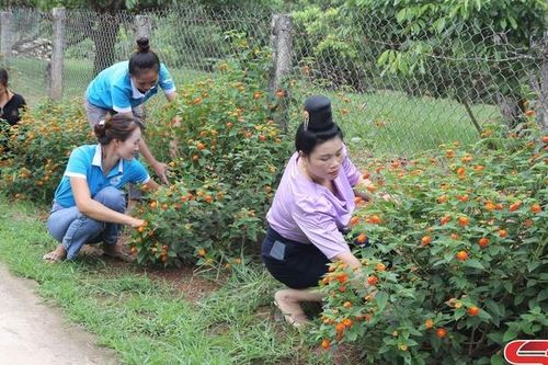 Cuộc vận động 'Xây dựng gia đình 5 không, 3 sạch' ở Sông Mã