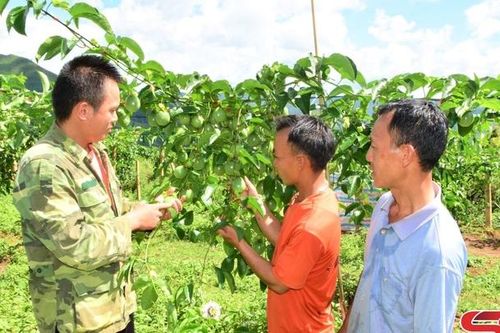 Đổi thay ở Sam Quảng