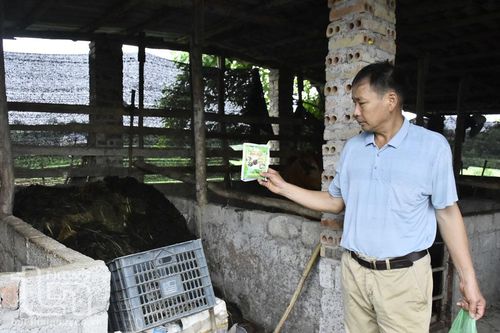 Đẩy mạnh ứng dụng chế phẩm sinh học
