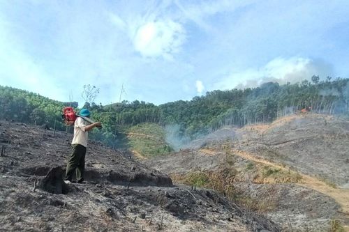 Gian nan chữa cháy rừng tại tiểu khu 162