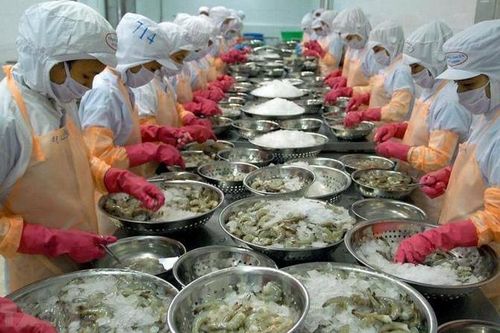 Doanh nghiệp xuất khẩu thủy sản Việt Nam tìm kiếm cơ hội tại thị trường Nhật Bản