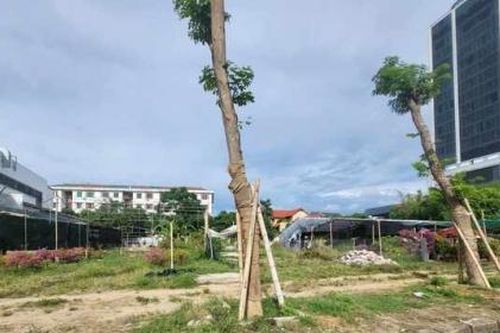 Nghệ An: Thanh tra dự án bất động sản ở thành phố Vinh