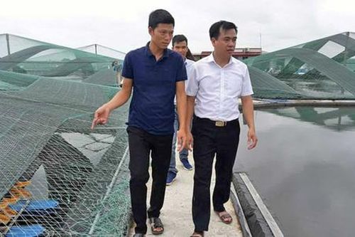 Kinh tế thủy sản thúc đẩy nông thôn mới vùng đất ven biển