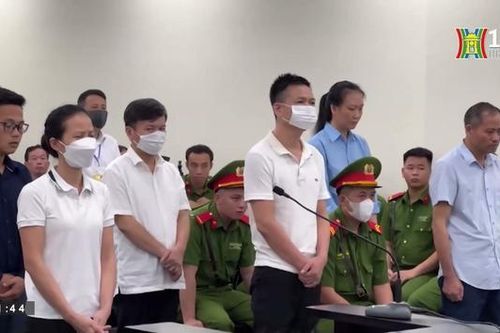 Tuyên án vụ nâng khống giá cây xanh tại Hà Nội