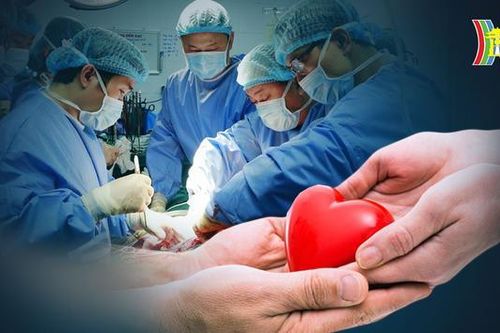 Hiến tạng: Còn nhiều điều hạn chế