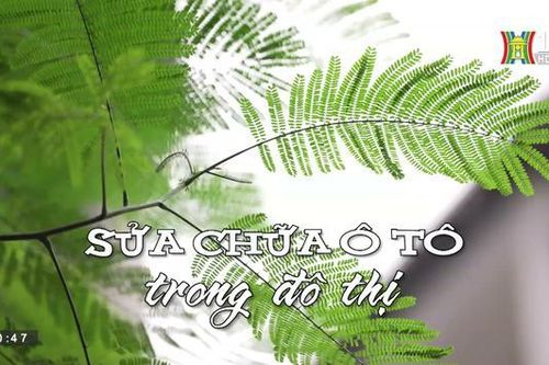 Sửa chữa ô tô trong đô thị| Nhịp sống Hà Nội| 28/8/2023