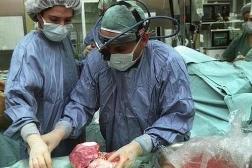 Kỳ 1: 'Ngành công nghiệp trái phép' xuyên quốc gia 'ăn nên làm ra'