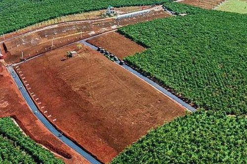 Điều kiện tách thửa đất