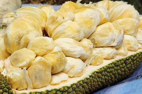Mít sầu riêng đang gây sốt ở miền Tây đặc biệt cỡ nào?