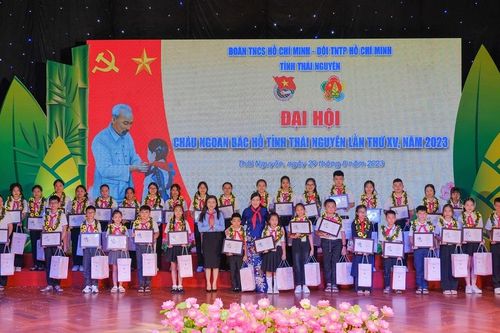 Tuyên dương 133 đại biểu cháu ngoan Bác Hồ
