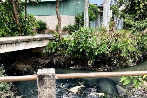 Báo động thực trạng ô nhiễm và tái ô nhiễm kênh rạch ở TP HCM