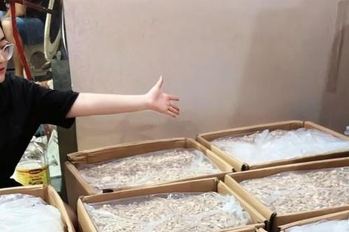 Sinh viên rầm rộ khởi nghiệp (Bài 1): Hàng loạt câu lạc bộ startup ra đời