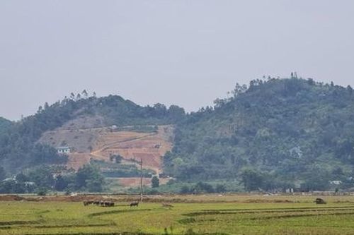 Hà Nội bị 'tuýt còi' quy định về đấu giá đất nông nghiệp