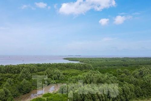 Thủ tướng chỉ đạo kiểm soát chặt chẽ việc chuyển mục đích sử dụng rừng