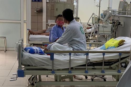 Cà độc dược nguy hiểm thế nào?