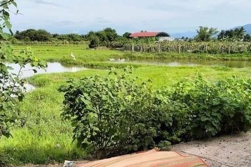 Hai chị em ruột tử vong thương tâm tại hồ nước gần nhà