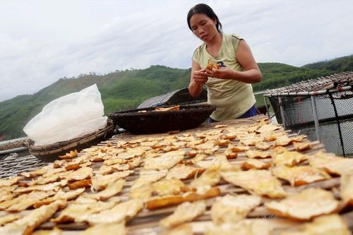 Nông dân miền núi Nghệ An nhộn nhịp vào mùa hái măng