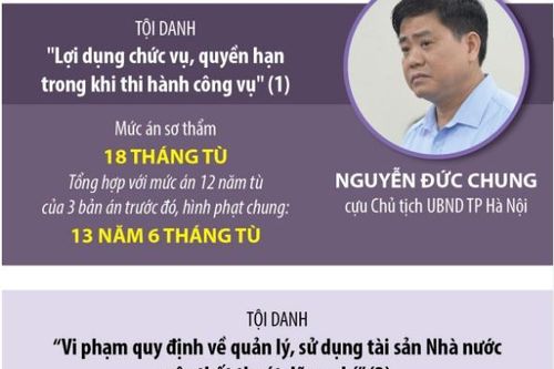 Tuyên án 15 bị cáo trong vụ nâng không giá cây xanh