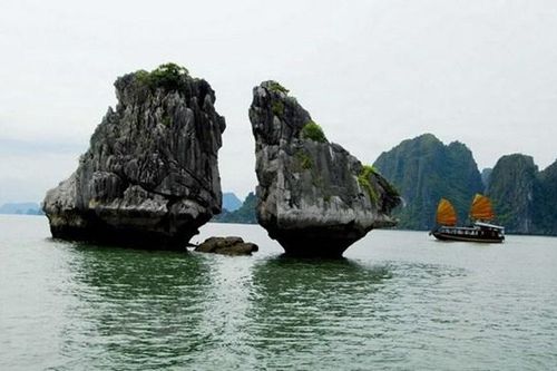 Bảo tồn Hòn Trống Mái trên Vịnh Hạ Long tuân thủ Công ước Quốc tế