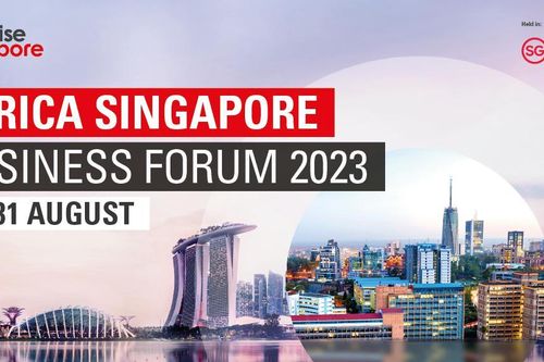 Singapore tìm cơ hội kết nối kinh doanh châu Phi và ASEAN