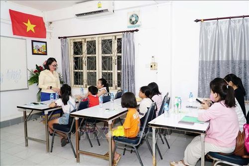 Triển khai toàn diện và mạnh mẽ hơn công tác về người Việt Nam ở nước ngoài