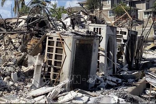 Công ty điện lực Hawaii phản đối đơn kiện gây ra vụ cháy rừng
