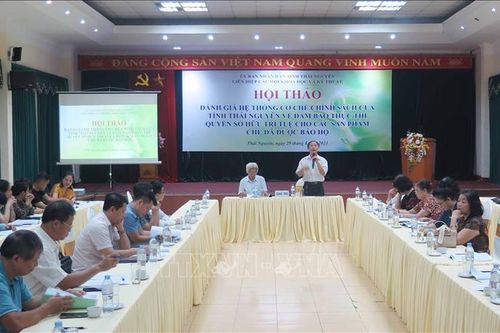 Đảm bảo thực thi quyền sở hữu trí tuệ đối với sản phẩm chè